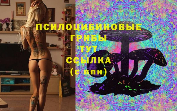 винт Баксан