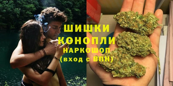 дурь Мегион