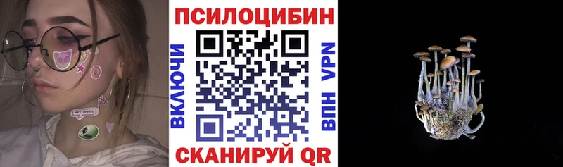 магазин    Юрга  Галлюциногенные грибы ЛСД 